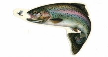 images/productimages/small/Sticker Rainbow Trout.jpg